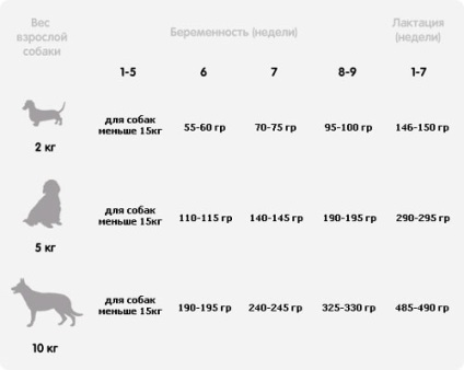 Pedigree de hrană primele de momeală pentru pui de la 3 săptămâni - cumpăra ieftin la Moscova în ieftine