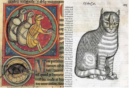 Pisicile din Evul Mediu și Renașterea - Pagina 1 din 6