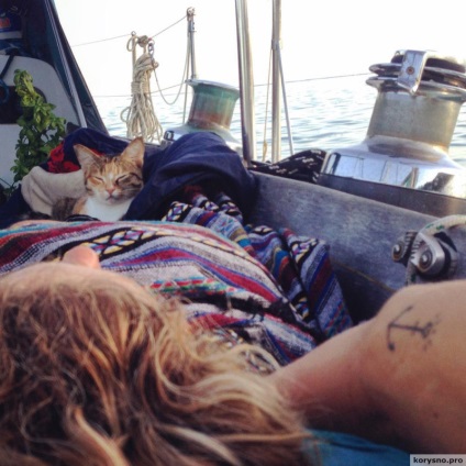 În jurul călătoriei lume pe o barcă cu o pisică