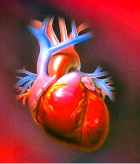 Tratamentul inimii prin metode populare