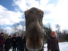 Elk Biostation