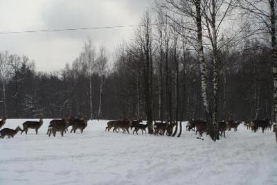 Biostația Elk - odihnește-te cu copiii