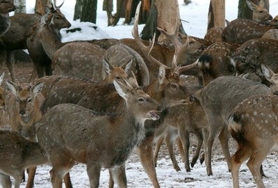 Elk biostatáció - pihenjen gyermekekkel