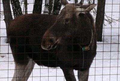 Elk biostatáció - pihenjen gyermekekkel