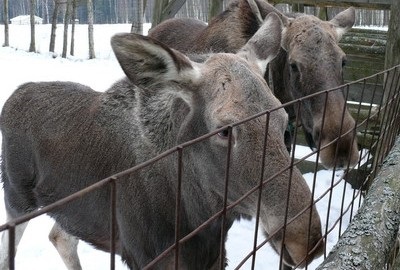 Elk biostatáció - pihenjen gyermekekkel