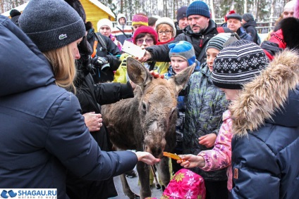 Insula Losiny din Moscova, excursie la stația bio