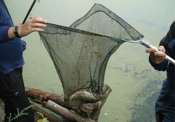 Captura de pescuit pentru măgar