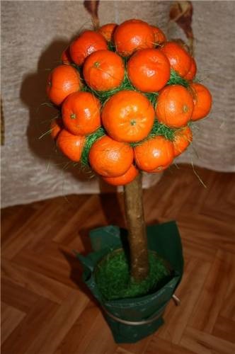 Mandarin Copaci