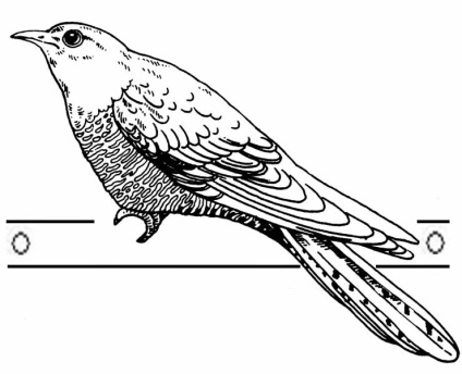 Cuckoo маска с ръцете си от хартия