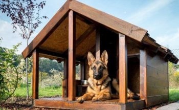 Mesterkurzus a kabrió készítéséhez saját kezű fotóval és videóval