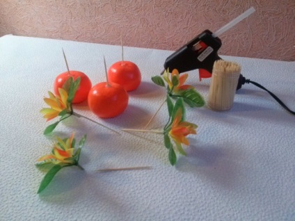 Master Class pe producția de mandarine topiary