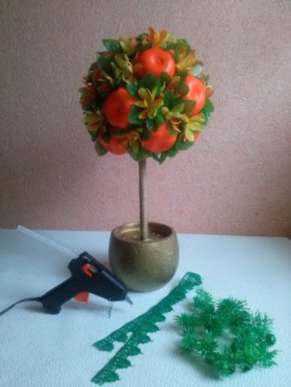 Master Class pe producția de mandarine topiary