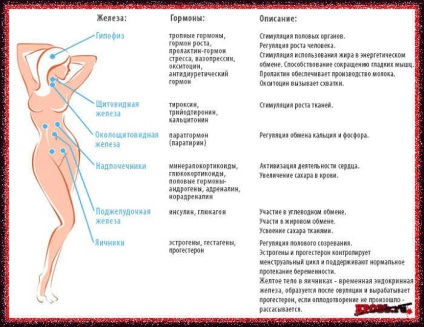 Sângerarea uterină cu insuficiență hormonală - tratamentul sângerării