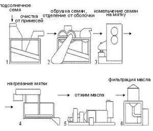 Mini-fabrică pentru producția de ulei de floarea-soarelui