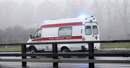 Moszkva, hírek, egy fa megölt egy embert a Schelkovskoye autópályán