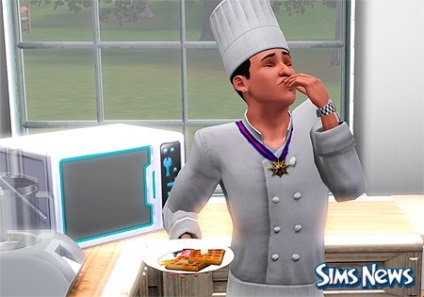 Abilități de gătit în Sims 3 (gătit în sims 3 gătit, ingrediente, învățare