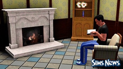 Abilități de gătit în Sims 3 (gătit în sims 3 gătit, ingrediente, învățare