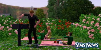 Abilități de gătit în Sims 3 (gătit în sims 3 gătit, ingrediente, învățare