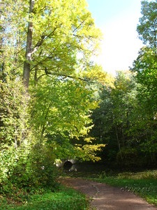 Neturisztikus Petersburg