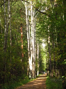 Neturisztikus Petersburg