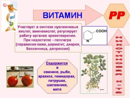 Acid nicotinic din colesterol, medicamente de acid nicotinic pentru scăderea colesterolului