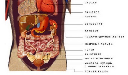 Curățarea corpului de toxine și toxine din casă