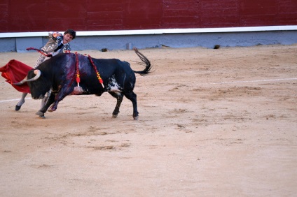 Într-o zi în Madrid sau d-a de la comunidad de madrid