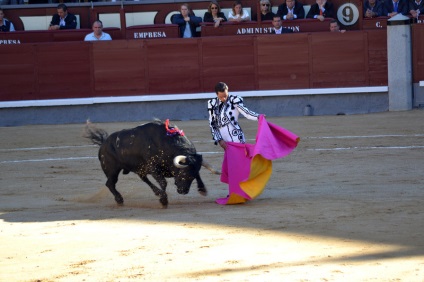 Într-o zi în Madrid sau d-a de la comunidad de madrid