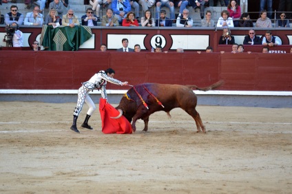 Într-o zi în Madrid sau d-a de la comunidad de madrid