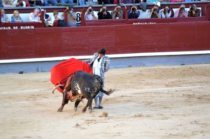 Într-o zi în Madrid sau d-a de la comunidad de madrid