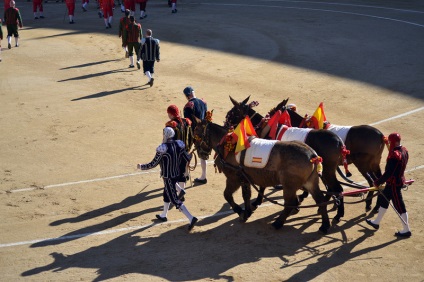 Într-o zi în Madrid sau d-a de la comunidad de madrid