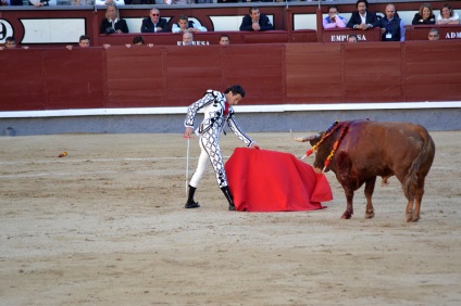 Într-o zi în Madrid sau d-a de la comunidad de madrid