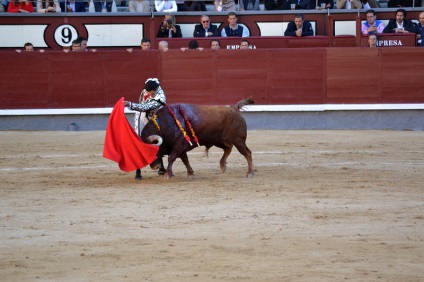 Într-o zi în Madrid sau d-a de la comunidad de madrid