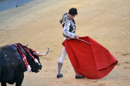 Într-o zi în Madrid sau d-a de la comunidad de madrid