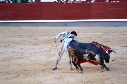 Într-o zi în Madrid sau d-a de la comunidad de madrid