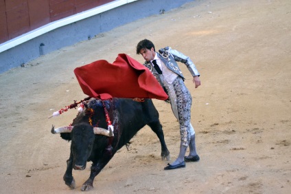 Într-o zi în Madrid sau d-a de la comunidad de madrid