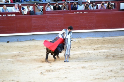 Один мадридський день або d - a de la comunidad de madrid