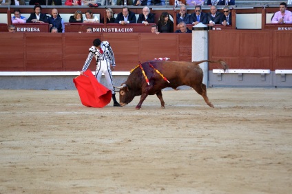 Într-o zi în Madrid sau d-a de la comunidad de madrid