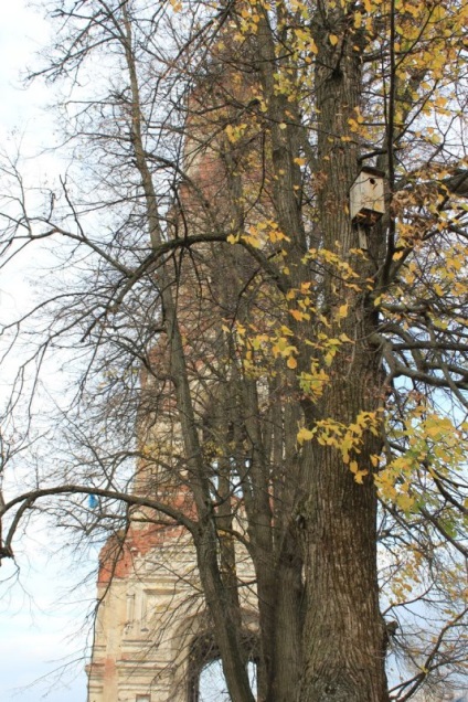 Excursie Oktyabrskaya la deserturile Nikolo-Berlyukovskaya, clubul călătorilor Lukas Tour