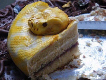 Șarpele periculos sa dovedit a fi un tort (foto)