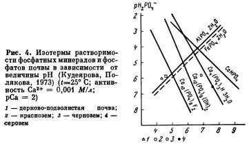 Determinarea formelor fosfatului de sol prin izoterme de solubilitate - totul despre agrochimie