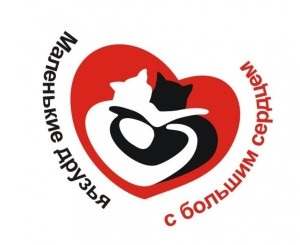 Osteosintezis - a gazdálkodó működésének meghatározása, folyamata, akciói az Akella Vet Clinic (osteosynthesis) után Osteosintezis - a gazdálkodó meghatározása, folyamata, a mûtét utáni cselekvései, az Akella vetõorvosi rendszere