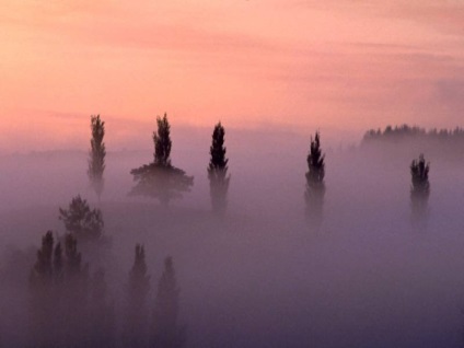 Feriți-vă de ceața purpurie - ghicitorile planetei Pământ - știri