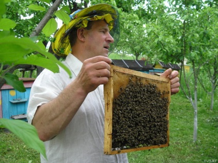 Ne odihnim din oraș ce să facem în agro-gradina