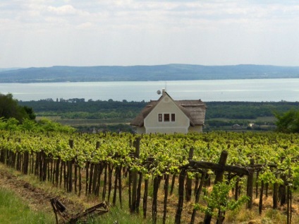 Odihna și cele mai bune stațiuni ale lacului Balaton (Ungaria) - portalul turistic - lumea este frumoasă!