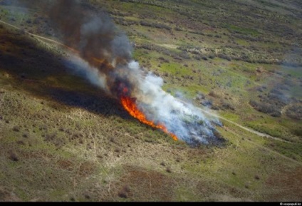 Paly - pyromania în kazah, gonzokz