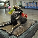 Monumentul unui câine vagabond 
