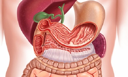 Penetrarea ulcerului gastric provoacă, simptome, diagnostic și tratament