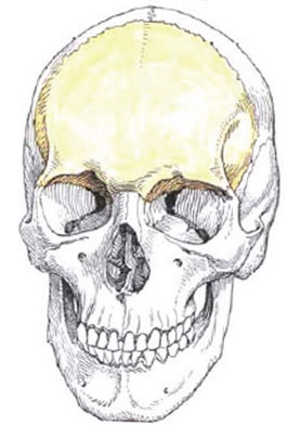 Fractura osului frontal, simptome, cauze și consecințe