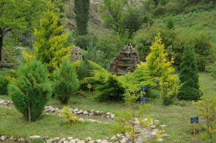 Plantarea de clone în munții din Dagestan duce la cultivarea unor plante neobișnuite - în țară